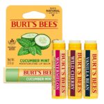 BURT'S BEES Lip Balm Blister (0.15oz)